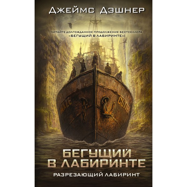 Разрезающий лабиринт. Джеймс Дэшнер