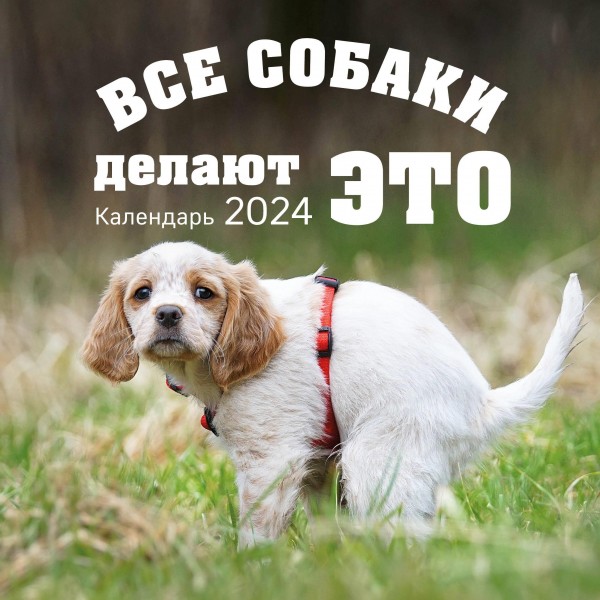 Все собаки делают это. Календарь настенный на 2024 год