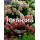 Гортензии. Выращиваем, ухаживаем и наслаждаемся в любом саду