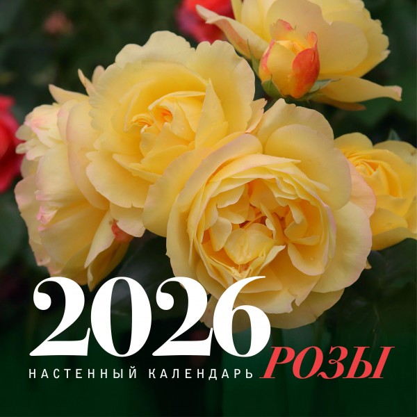 Розы. Настенный календарь на 2026 год.