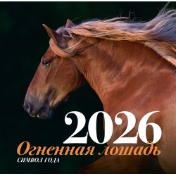 Огненная лошадь. Настенный календарь на 2026 год