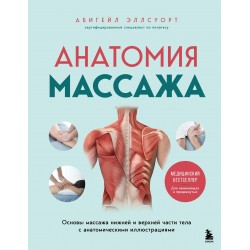 Анатомия массажа. Основы массажа нижней и верхней части тела