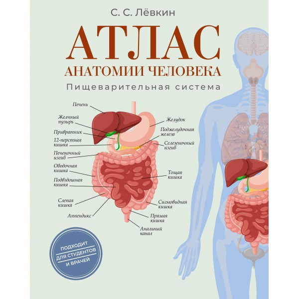 Атлас анатомии человека. Пищеварительная система. Сергей Лёвкин