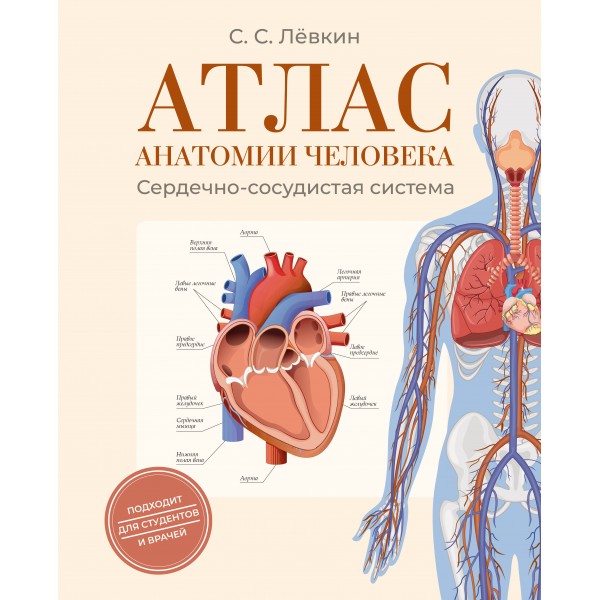Атлас анатомии человека. Сердечно-сосудистая система. Сергей Лёвкин