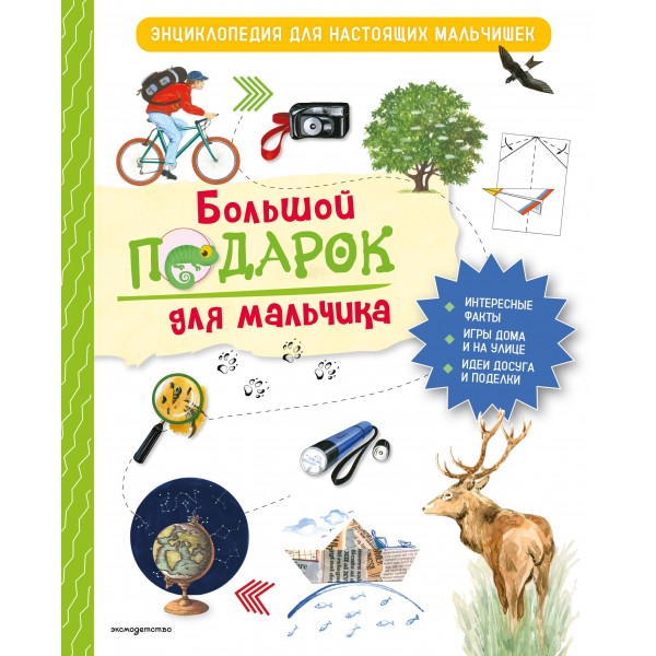 Большой подарок для мальчика. Энциклопедия для настоящих мальчишек. Анастасия Занонцелли
