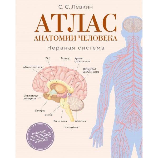 Атлас анатомии человека. Нервная система. Сергей Лёвкин Атлас анатомии человека. Нервная система. Сергей Лёвкин