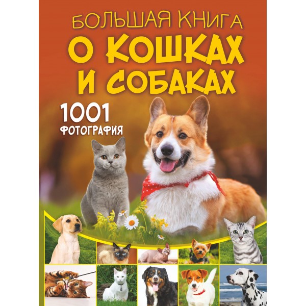 Большая книга о кошках и собаках. 1001 фотография. Ирина Барановская и др.