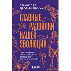 Главные развилки нашей эволюции