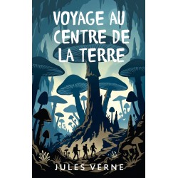 Voyage au centre de la Terre = Путешествие к центру Земли