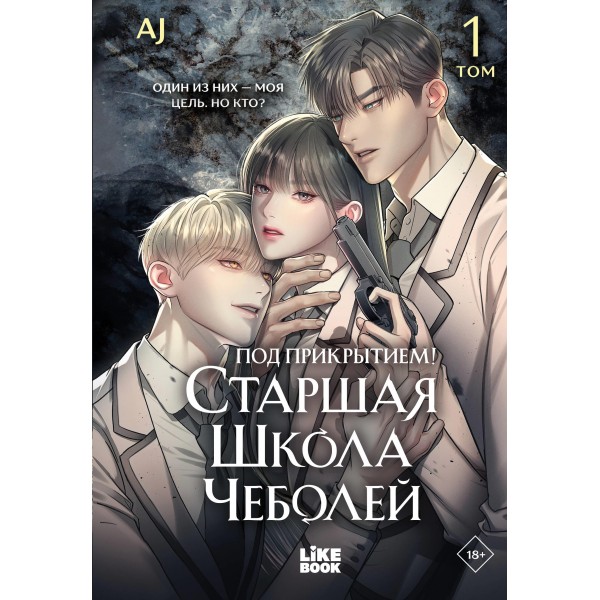 Под прикрытием! Старшая школа чеболей. Том 1. AJ