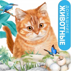 Домашние животные. Тактильная книжка