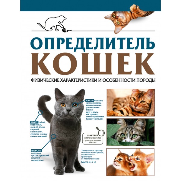 Определитель кошек. Физические характеристики и особенности породы. Дмитрий Смирнов