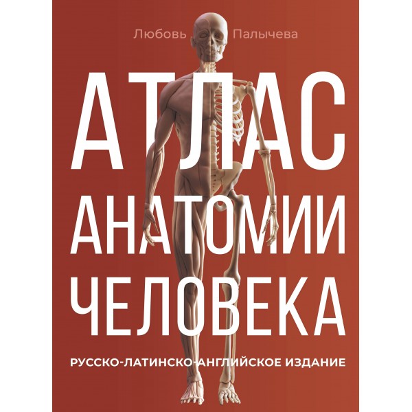 Атлас анатомии человека. Русско-латинско-английское издание. Любовь Палычева