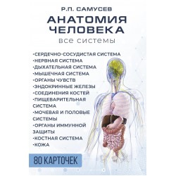 Анатомия человека. 80 карточек. Все системы