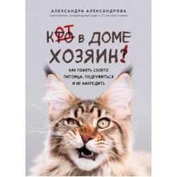 Кот в доме хозяин! Как понять своего питомца, подружиться и не навредить