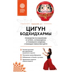 Цигун бодхидхармы