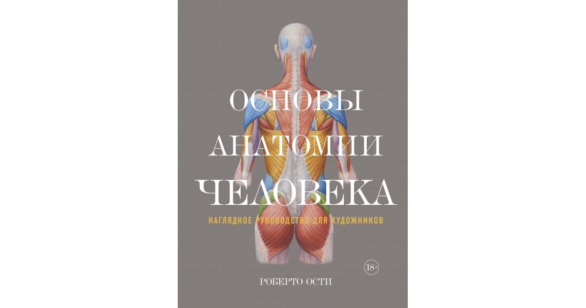 Основы анатомии. Основы анатомии человека Роберто ости. Роберто ости анатомия для художников. Основы анатомии человека для художников Роберто ости. Основы анатомии человека. Наглядное руководство для художников.