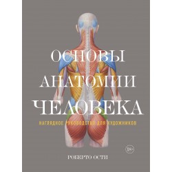 Основы анатомии человека. Наглядное руководство для художников