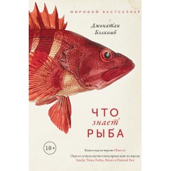 Что знает рыба. Внутренний мир наших подводных собратьев