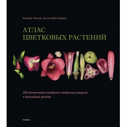 Атлас цветковых растений