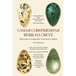 Самая совершенная вещь на свете: Внутри и снаружи птичьего яйца