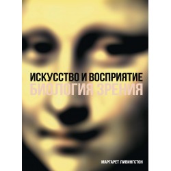 Искусство и восприятие. Биология зрения