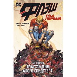 Флэш. Год первый