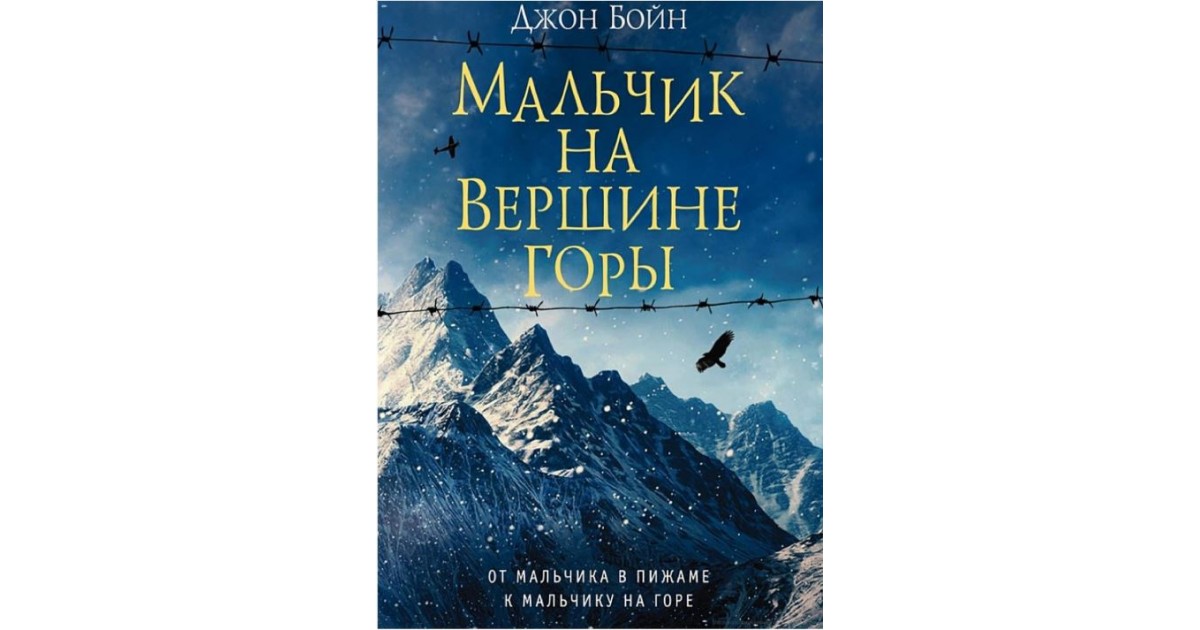 Джон бойн книги читать. Джон Бойн мальчик на вершине горы. Мальчик на вершине горы книга. Мальчик на вершине горы Джон Бойн книга обложка. Книга на вершине горы.