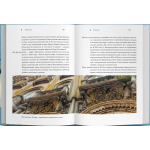 Будапешт. Кофе, модерн и римские руины. Мария Николаева