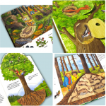 Что? Почему? Зачем? Лес. Книга с окошками. Сюзанна Гернхойзер