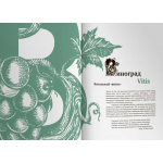 Искусство и флора. От Аканта до Яблони. Ольга Козлова, Светлана Шехтер