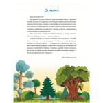 Математические сказки. Лисенок Хитрик в волшебном лесу. Ирина Муковникова