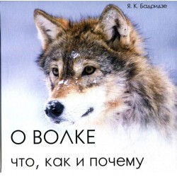 О волке: что, как и почему