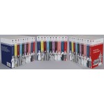 Огненный перст. Борис Акунин