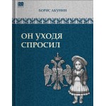 Он уходя спросил. Борис Акунин