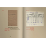 Век Майи. Азарий Плисецкий