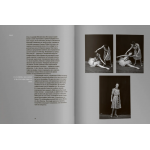 Век Майи. Азарий Плисецкий